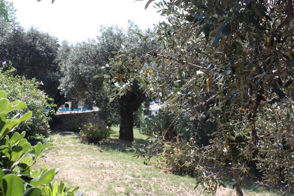 Azienda Agrituristica Biologica Il Querceto Santa Severina Exterior foto